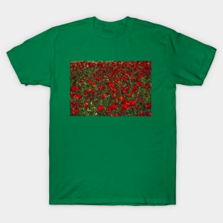 Blooming Poppies Field T-Shirt